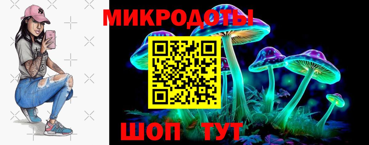 Хасавюрт  Псилоцибиновые грибы ЛСД  Вход с VPN 